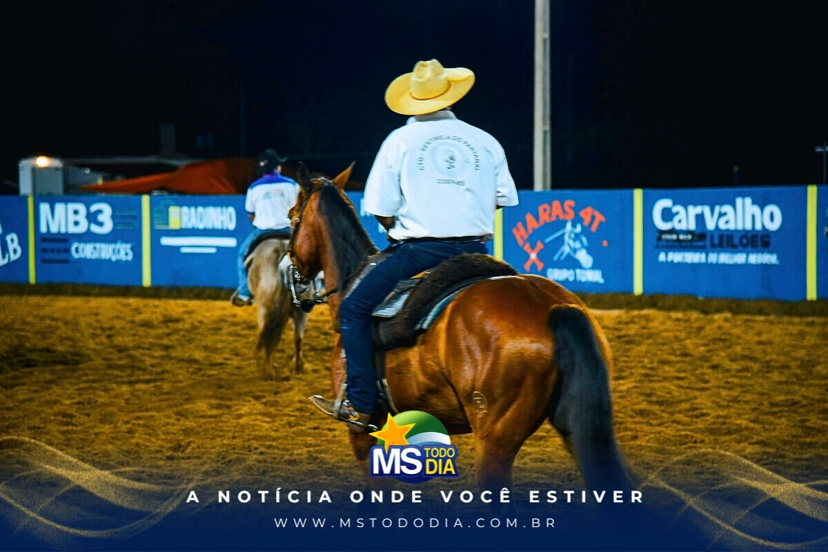 Imagem da Galeria